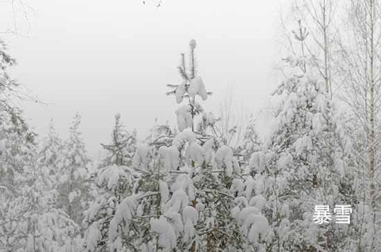 山东2023年12月19日有暴雪大部地区最高温0℃左右 泰安未来三天天气预报