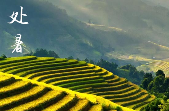 2024年什么时候处暑 这天是什么星座星期几