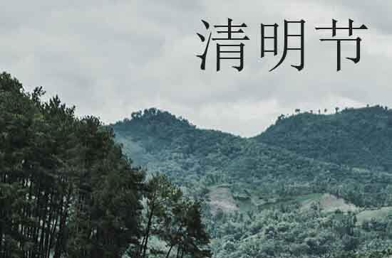 插柏带柳纪先贤 清明节插柳的习俗