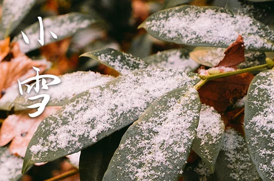小雪节气的祝福语集锦15篇