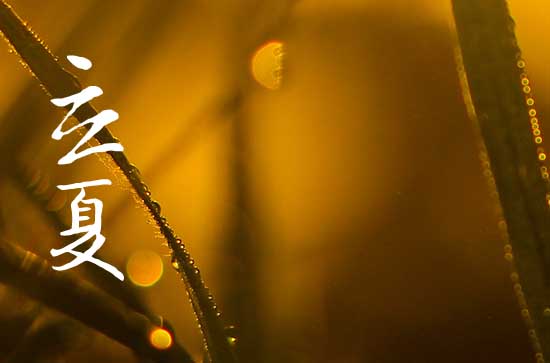 2024年今年立夏是几月几号 2024年5月5日立夏黄历