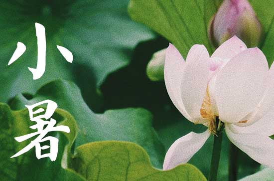 2024年小暑是几月几日 2024小暑当天可以认干女儿吗