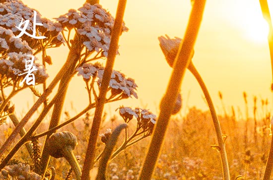 2024年处暑是什么时候时间 2024处暑这天可以修造吗