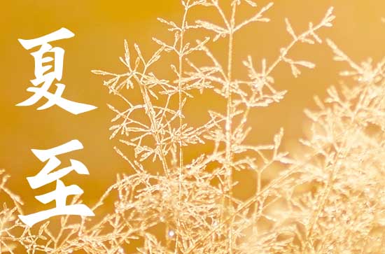 2023年夏至过了是不是开始凉快了 夏至过了天气有哪些变化