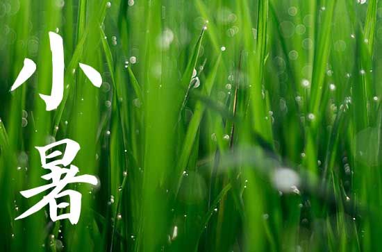 小暑2024年是几月几日星期几 2024年小暑适合见贵吗