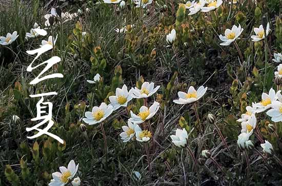 2024年什么时候立夏 2024年立夏能百日宴吗