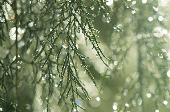 雨量的等级是怎样划分的 雨量的等级是怎样划分的