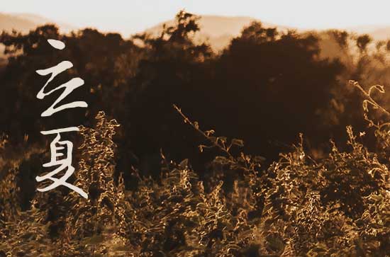 2024立夏是哪天 2024立夏这天宜做什么