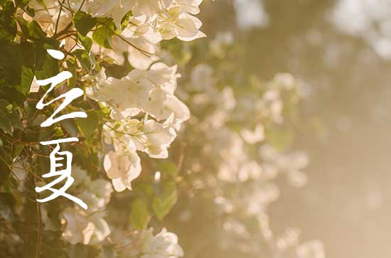 2024年今年立夏是几月几号 2024年5月5日立夏是扫舍的黄道吉日吗