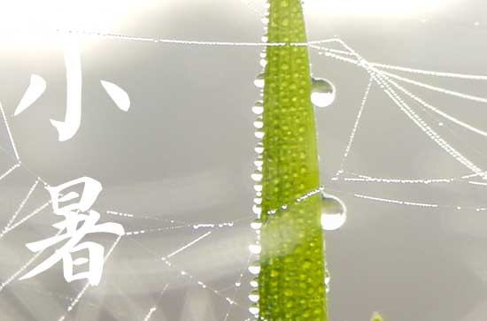 描写小暑节气的诗句有哪些   小暑节气诗词大全