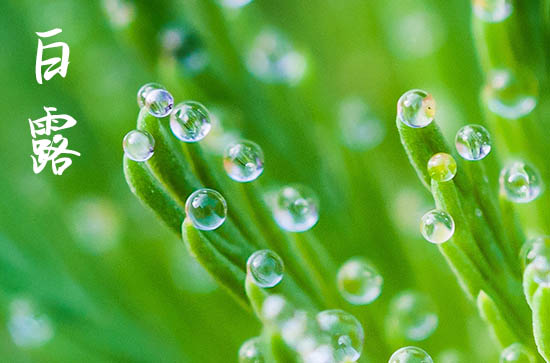 滴滴水珠是白露 说一说白露的气候特征