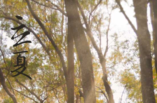 2024立夏是哪天 2024年立夏建猪栏好不好