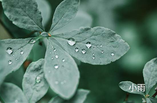 9月3日湖州会下雨 今日小雨转多云温度31℃~26℃