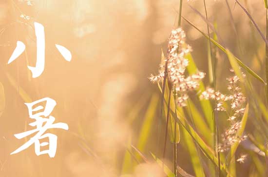2024年小暑是几点几分几秒 2024小暑那天认养好不好