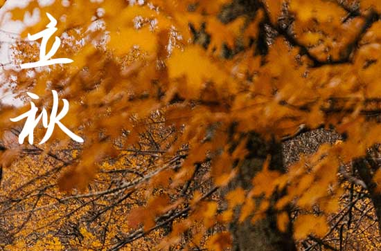 2024年什么时候立秋 这天是什么星座星期几