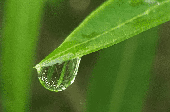 2024年谷雨是什么时候 2024年4月19日谷雨这天迁居好吗