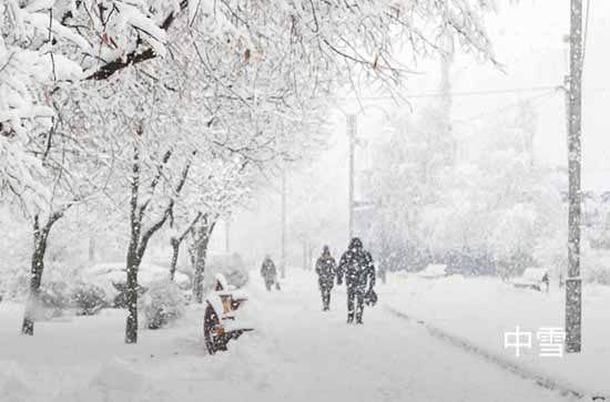 黑龙江2024年1月8日今日天气有阵雪 伊春未来三天天气预报