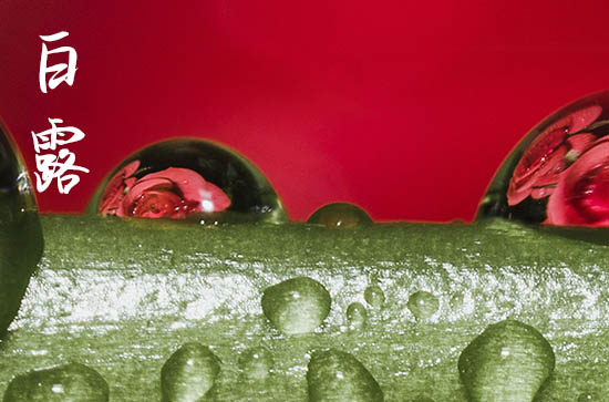 白露2024年是几月几日星期几 2024年9月7日白露这天宜买房吗