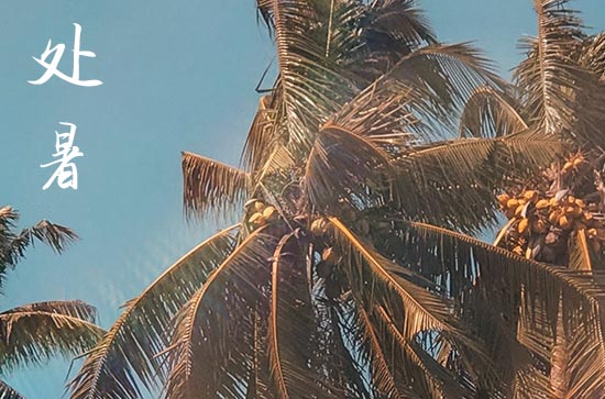 2024年处暑时间是什么时候 2024年8月22日处暑当天厨房移位好吗 2024年处暑时间是什么时候 2024年8月22日处暑当天厨房移位好吗