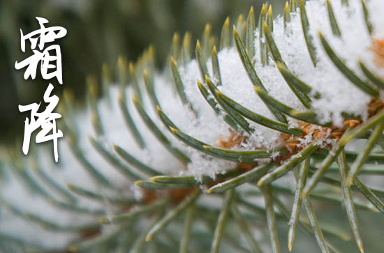 简短的霜降祝福说说