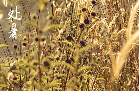 2024年农历几号处暑 2024年处暑这天日子怎样