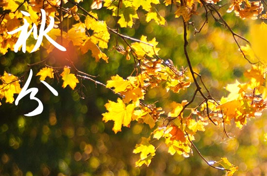 秋分是几月几号2024年 2024年秋分适合升学宴吗