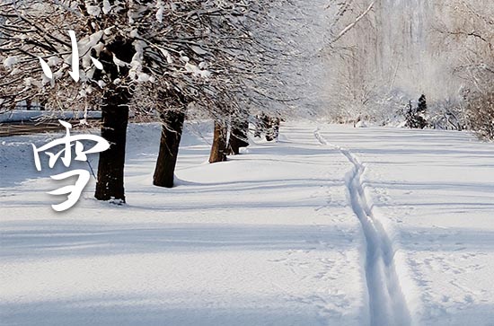 小雪文案短句干净治愈 最新2023小雪节气文案说说