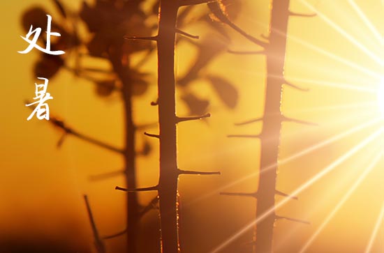 2024年处暑是几月几日 2024年处暑给佛像开光可以吗