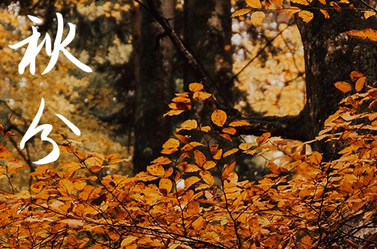 2024年秋分竖蛋是什么意思