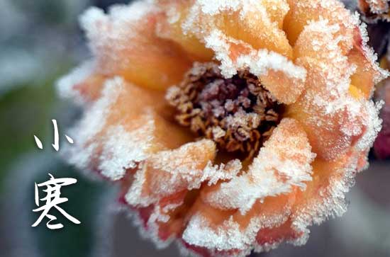 2023年小寒是农历几月几日,小寒公历农历的时间