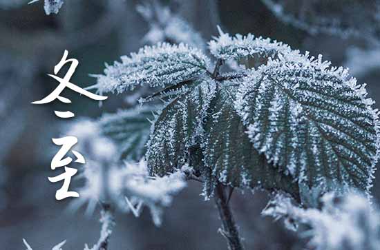 冬至吃啥馅的饺子最好 冬至的习俗有哪些