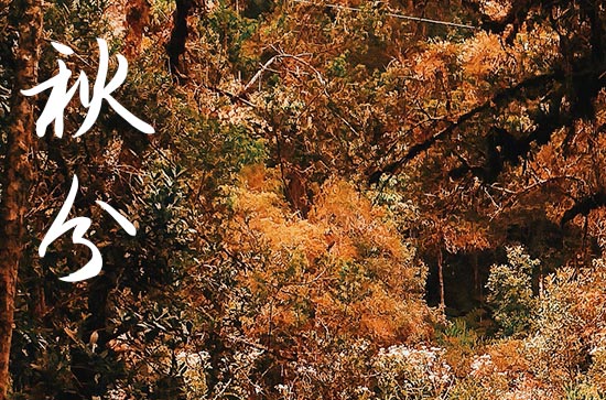 秋分客户祝福短信（通用40句）