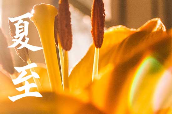 2024夏至时间具体是几月几号几点几分 哪一天夏至入伏