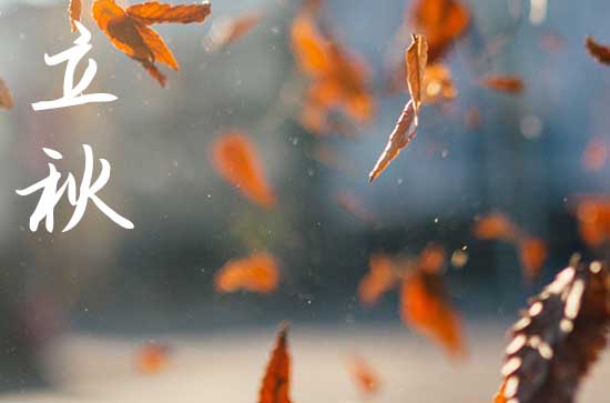 立秋2024年是几月几日星期几 2024立秋这天宜做什么