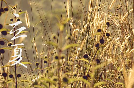 2024年农历几号立夏 2024年立夏适合清扫房屋吗