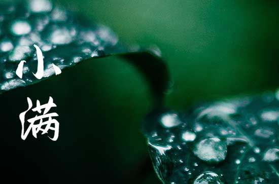 2024小满节气祝福怎么发 2024年小满祝福语句子