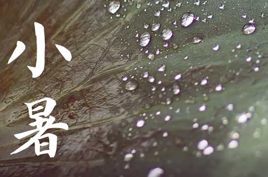 2024年小暑农历时间 2024年小暑修坟行不行