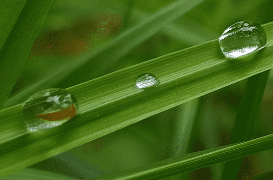 2024年什么时候谷雨 2024年谷雨送聘礼好不好