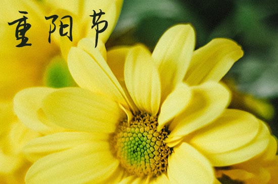 2024年九九重阳节送老人什么礼物合适 2024年九九重阳节送老人什么礼物合适