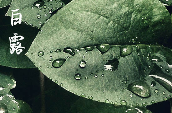 2024年白露是星期几 2024白露那天安装门户好吗