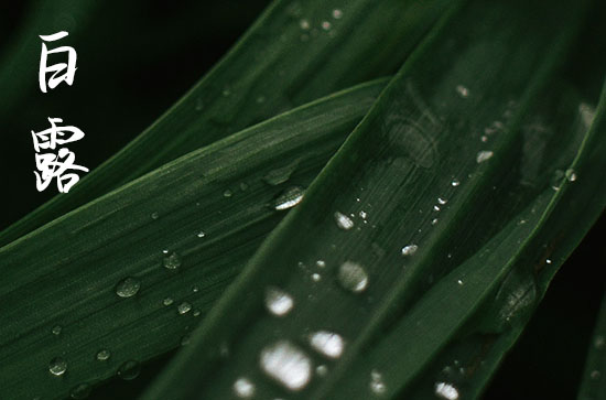 2024白露是农历哪一天 2024年9月7日白露这天适合出去玩吗