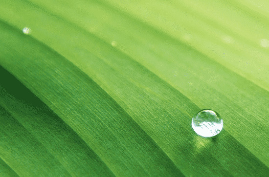 2024年谷雨时间是什么时候 2024年4月19日谷雨这天盖屋好不好
