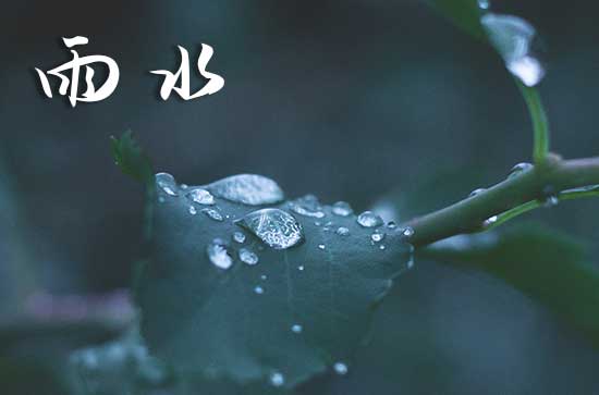 2024年雨水时间几点几分几秒钟 雨水节气的注意事项