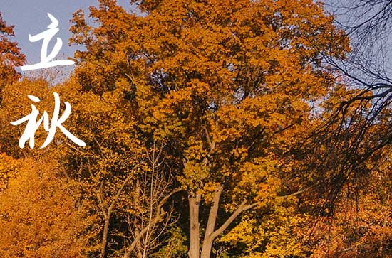 立秋是2024的几月几日 2024年立秋弄就诊好吗