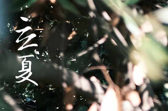 2024年今年立夏是几月几号 2024年立夏弄拆墙好吗