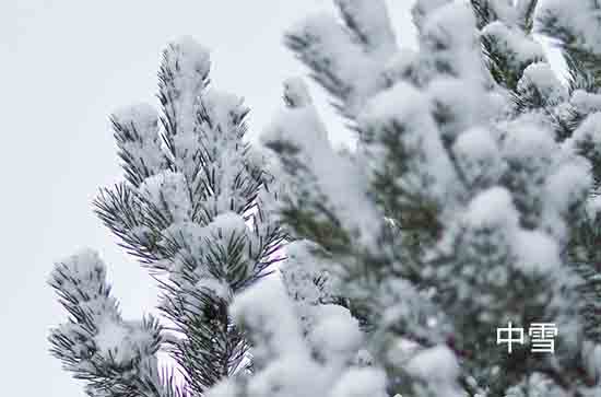 辽宁12月13日大范围降雪又来袭 抚顺未来三天天气预报