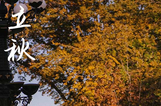 2024年什么时候立秋 2024立秋那天开厕好吗