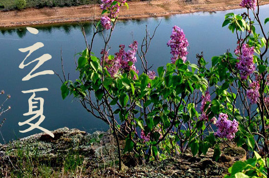 2024年立夏是具体哪一天 2024年立夏普渡吉利吗