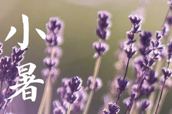 为什么小暑要吃藕和海带   凉拌海带的做法