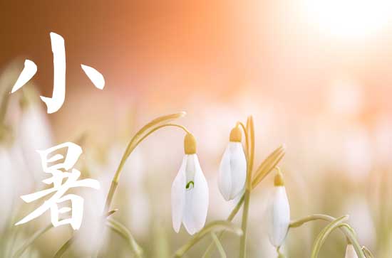 2024年小暑是什么时候 2024年小暑置产吉祥吗